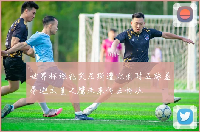 世界杯巡礼突尼斯遭比利时五球羞辱迦太基之鹰未来何去何从