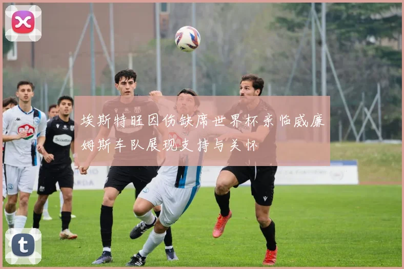 埃斯特旺因伤缺席世界杯亲临威廉姆斯车队展现支持与关怀