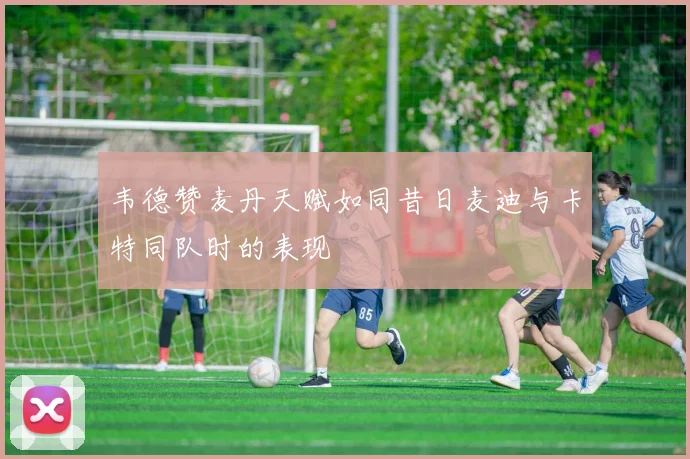 韦德赞麦丹天赋如同昔日麦迪与卡特同队时的表现